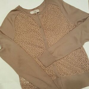 ANN TAYLOR LOFT TAUPE/NUDE CARDIGAN